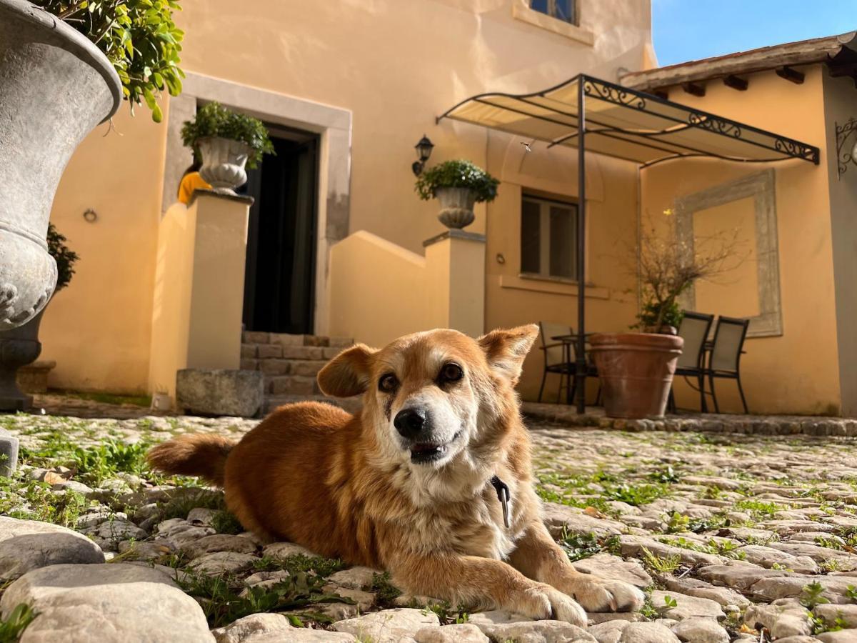 Agriturismo Castello Santa Margherita Cori 외부 사진